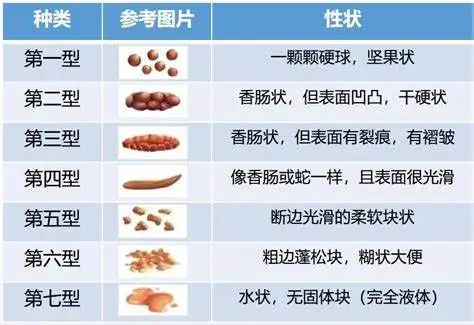 人体营养素是什么意思_健身 人体四大营养素_人体营养素比例图